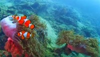Discovery to Undiscovered Mergui Discovery to Undiscovered Mergui
