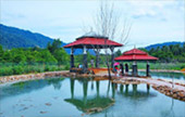 The Various สตูล + ลังกาวี + หาดใหญ่ The Various สตูล + ลังกาวี + หาดใหญ่