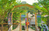 The Various สตูล + ลังกาวี + หาดใหญ่ The Various สตูล + ลังกาวี + หาดใหญ่