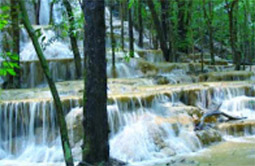 The Various สตูล + ลังกาวี + หาดใหญ่ The Various สตูล + ลังกาวี + หาดใหญ่