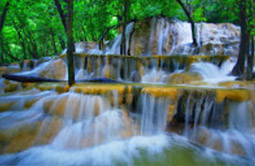 The Various สตูล + ลังกาวี + หาดใหญ่ The Various สตูล + ลังกาวี + หาดใหญ่
