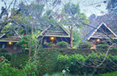 When I... เชียงใหม่ 3 วัน 2 คืน When I... เชียงใหม่ 3 วัน 2 คืน