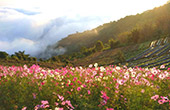 Double of Wonderful Day ที่เชียงใหม่ Double of Wonderful Day ที่เชียงใหม่